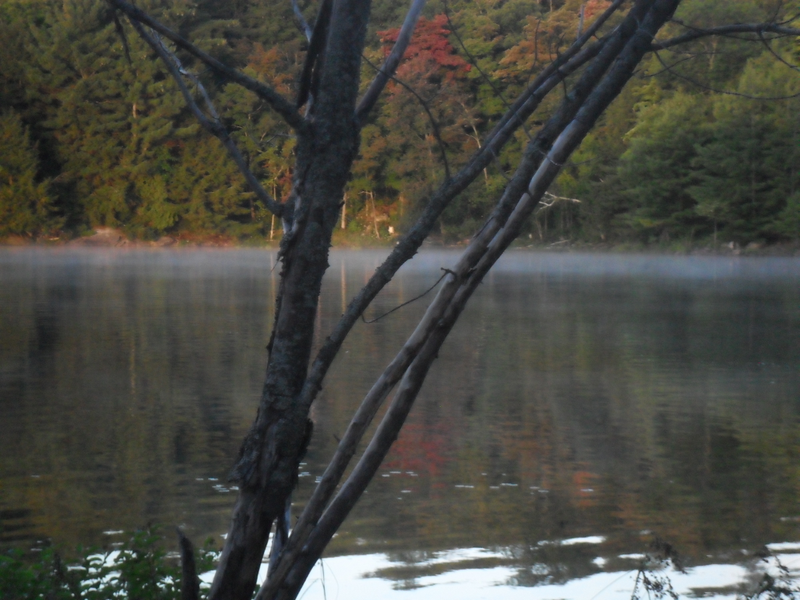 Illustration for article titled Photo Mission Gallery: Water